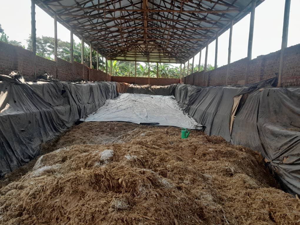 Silage Production
